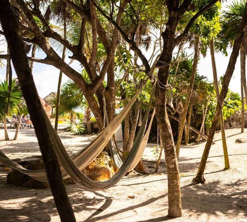 Special Offer.  Grand Sirenis Riviera Maya Resorts & Spa Tulum Special Offer.  Grand Sirenis Riviera Maya Resorts & Spa Tulum